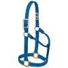Weaver Leather - Original Non-Adjustable Halter, Blue, 1 Inch Yearling Horse -Ranch & farm shop only. 101101 47368.1673455077