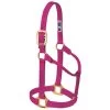 Weaver Leather - Original Non-Adjustable Halter, Raspberry, 1 Inch Yearling Horse -Ranch & farm shop only. 101105 46427.1673455078