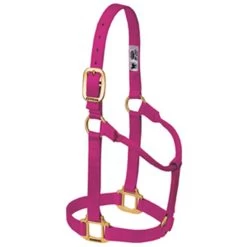 Weaver Leather - Original Non-Adjustable Halter, Raspberry, 1 Inch Yearling Horse