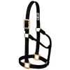Weaver Leather - Original Non-Adjustable Halter, Black, 1 Inch Small Horse Or Weanling Draft -Ranch & farm shop only. 101108 68979.1673455079