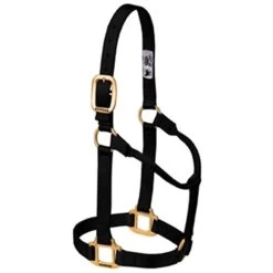 Weaver Leather - Original Non-Adjustable Halter, Black, 1 Inch Small Horse Or Weanling Draft