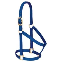 Weaver Leather - Basic Non-Adjustable Halter, Blue, 1 Inch Average Horse Or Yearling Draft