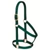 Weaver Leather - Basic Non-Adjustable Halter, Hunter Green, 1 Inch Large Horse Or 2-Year-Old Draft -Ranch & farm shop only. 101186 02347.1673455086