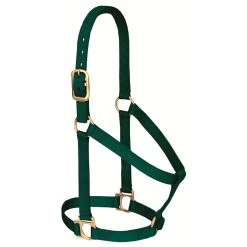 Weaver Leather - Basic Non-Adjustable Halter, Hunter Green, 1 Inch Large Horse Or 2-Year-Old Draft