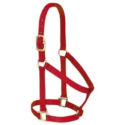 Weaver Leather - Basic Non-Adjustable Halter, Red, 1 Inch Large Horse Or 2-Year-Old Draft