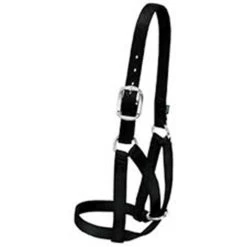 Weaver Leather - Barn Cow Halter, Black, 1 Inch Small
