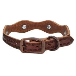 Weaver Leather - Sundance Collar, 3 4 Inch X 17 Inch