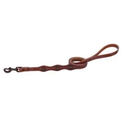 Weaver Leather - Sundance Leash, 3 4 Inch X 4'