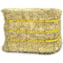 Standlee Certified Straw Compressed Bale