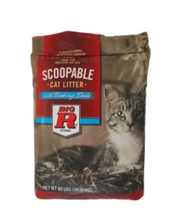 Big R Scoopable Cat Litter With Baking Soda