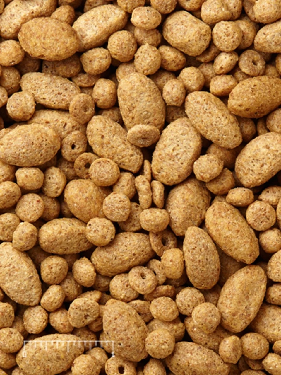 Mazuri Parrot Maintenance - 25 Lb. 3 Mazuri Parrot Maintenance - 25 Lb.