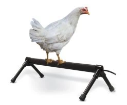 K&H Pet - THERMO-CHICKEN PERCH - 36 INCH -Ranch & farm shop only. 1741850 85249.1630008295