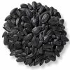 Wild Delight Black Oil Sunflower Seed - 40 Lb. -Ranch & farm shop only. 1751990 01 68237.1673455075