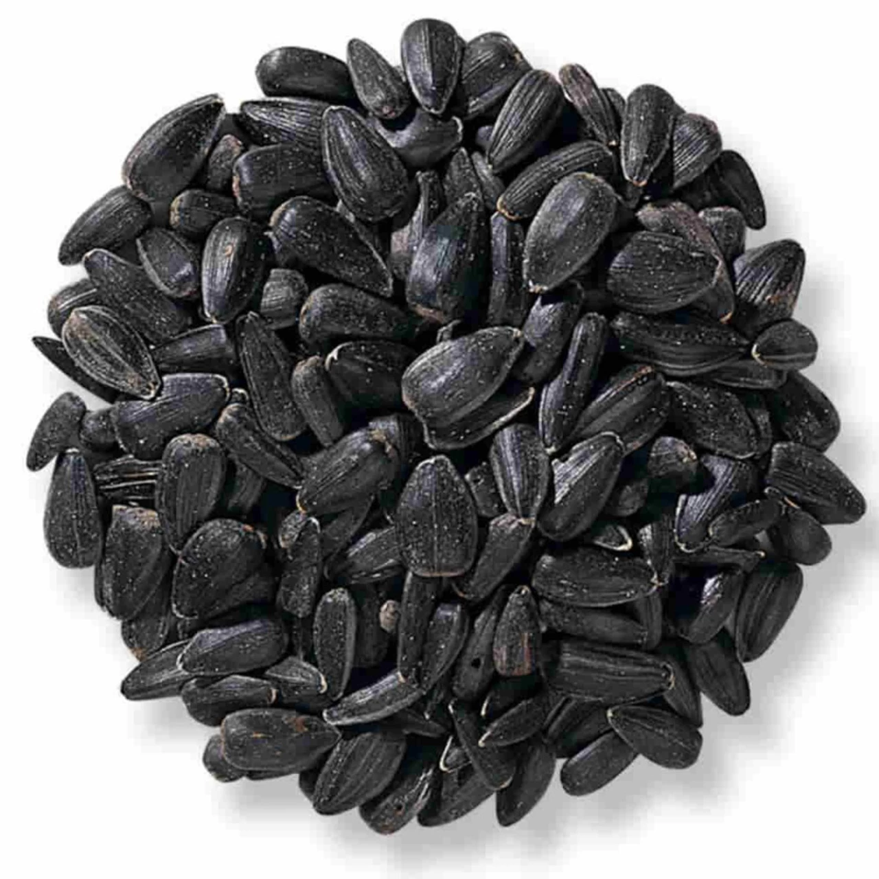 Wild Delight Black Oil Sunflower Seed - 40 Lb. 3 Wild Delight Black Oil Sunflower Seed - 40 Lb.