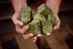 Daurio Bros. - Premium Colorado Alfalfa Cubes -Ranch & farm shop only. 1803555 2 00041.1633120037