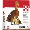 Purina Duck Feed Pellets - 40 Lbs. -Ranch & farm shop only. 2246095 01 84683.1673538753