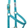 Weaver Leather Basic Non-Adjustable 1" Halter, Turquoise 1 Weaver Leather Basic Non-Adjustable 1" Halter, Turquoise -Ranch & farm shop only. 2257460 1 97817.1673549090
