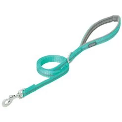 Weaver Leather Reflective Neoprene Lined Mint Dog Leash