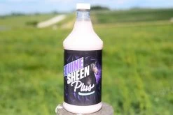 212 Livestock Equine Sheen Plus - 1 Quart
