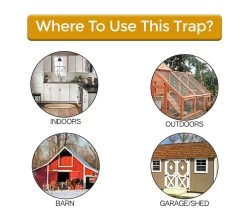 Rinne Traps Flip-N-Slide Mouse Trap