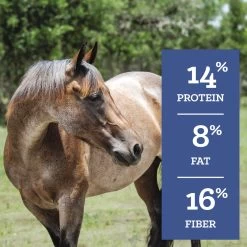 Nutrena SafeChoice Senior Horse Feed - 50lb Bag 18 Nutrena SafeChoice Senior Horse Feed - 50lb Bag -Ranch & farm shop only. 256481 6 34985.1696516238