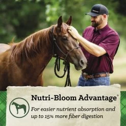 Nutrena SafeChoice Senior Horse Feed - 50lb Bag 21 Nutrena SafeChoice Senior Horse Feed - 50lb Bag -Ranch & farm shop only. 256481 9 74227.1696516238