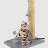 Main St. Pet Cat Scratch Post 16X12X20 -Ranch & farm shop only. 2821075 1 74471.1697131955