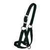 Weaver Leather - Llama Halter, Black, 3 4 Inch Medium Large -Ranch & farm shop only. 554905 01446.1673455077