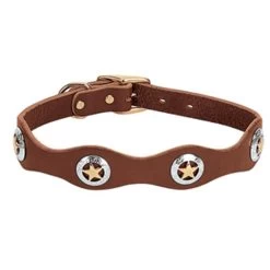 Weaver Leather - Lone Star Legend Collar, Sunset, 1 Inch X 17 Inch