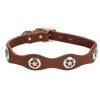 Weaver Leather - Lone Star Legend Collar, Sunset, 1 Inch X 19 Inch -Ranch & farm shop only. 657770 63693.1673454929